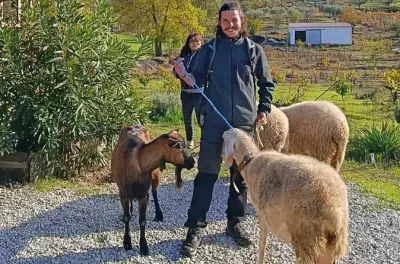 Visite d'une ferme bio et animaux près de Serra da Estrela, Portugal