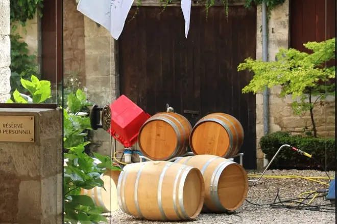 Weinverkostung in Chablis: Private Tour durch Weinberge mit Winzern