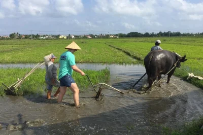 Descubra o campo de hoi an: vila de cerâmica thanh ha, horta tra que, plantação de arroz e jantar típico vietnamita. reserve seu tour autêntico agora.