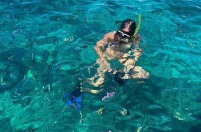 Snorkel en Roatán: Arrecife mesoamericano y parque de perezosos