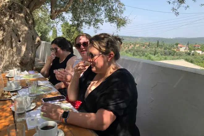 Messinia Olive Oil Tasting: 3-Hour Grove Experience