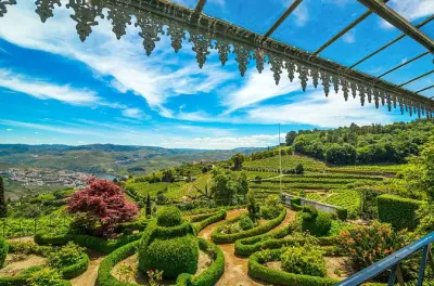 Quinta de Santa Júlia en Peso da Régua: Almuerzo y catas privadas