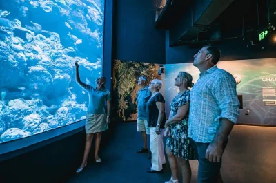Scopri la magia serale del cairns aquarium con un tour guidato al tramonto, poi rilassati con una cena a 3 portate al squire's loft. include ingresso e cena.