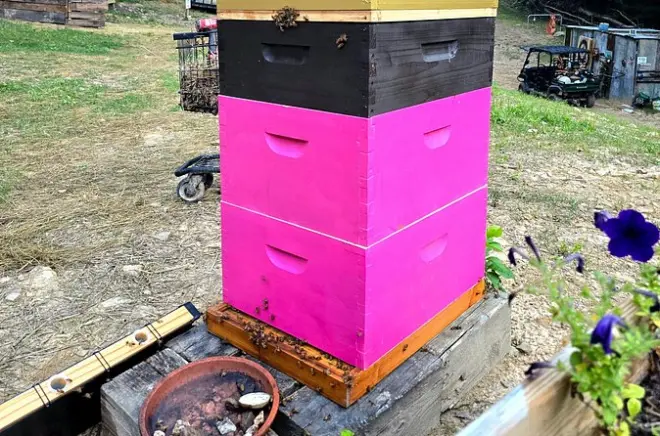 Tour privado na fazenda Promise Land Bee em Charleston, WV