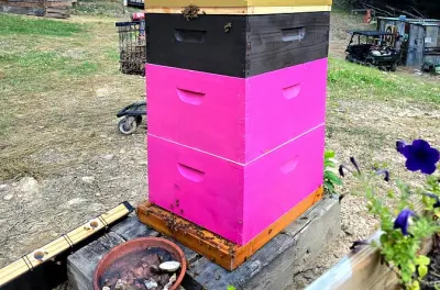Promise Land Bee Farm Private Tour in Charleston, West Virginia