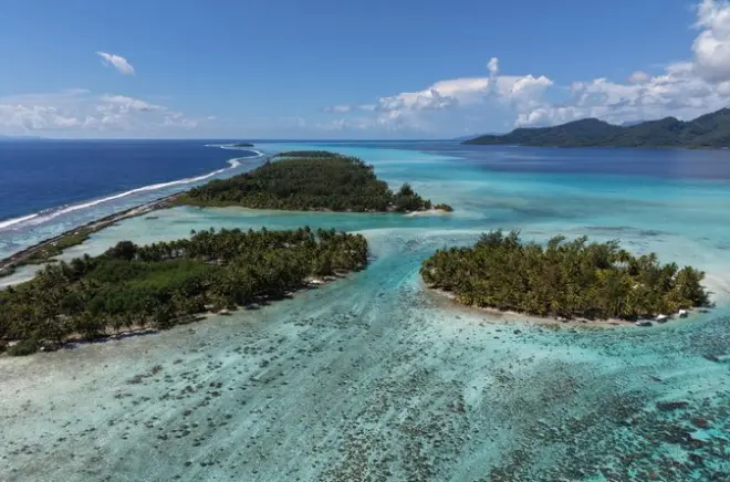Snorkel em Taha'a: Lagoa, baunilha e tubarões