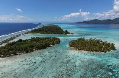 Snorkel em Taha'a: Lagoa, baunilha e tubarões