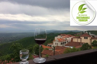Discover georgia’s kakheti region on a private organic wine tour. visit 3 family-run wineries, enjoy local lunch, and taste natural wines near tbilisi.