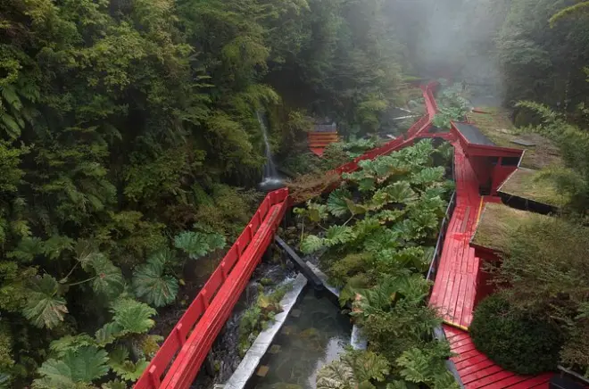 Geometric Thermal Baths from Valdivia: 3 hours in hot springs