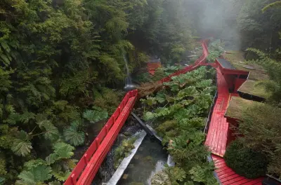 Geometric Thermal Baths from Valdivia: 3 hours in hot springs