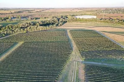 Colonia Caroya, Córdoba: Guia sommelier e degustações de vinho