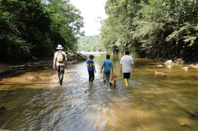 Amazon Jungle Ecuador Tour: Canoe, Wildlife, Culture