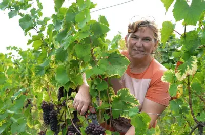 Bio-Weinverkostung in Colmar: Sieben Weine mit femininer Note