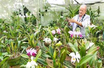 Orchidées et oiseaux à Finca Romelia depuis Salento, 850+ espèces