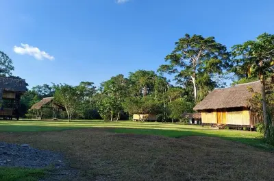 3-day Amazon Yasuni Park Limoncocha wildlife canopy tour in Coca