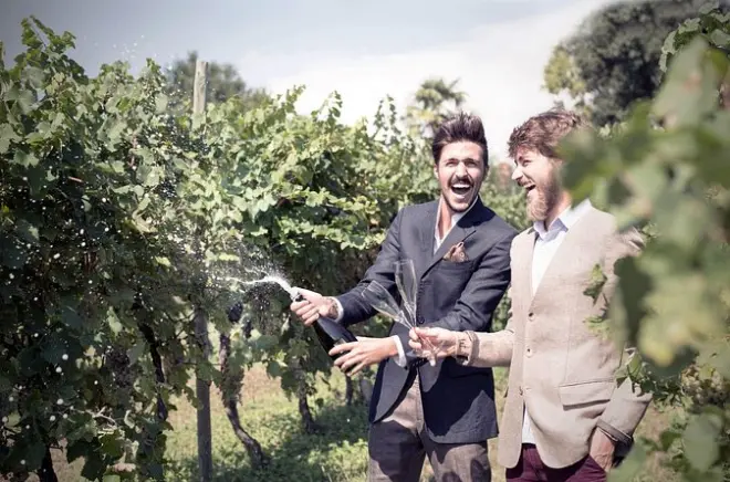 Dégustation de vins à Asolo : Six vins et visite du vignoble