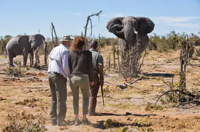 Safari 3 días en Etosha desde Windhoek: Cinco grandes y abrevaderos