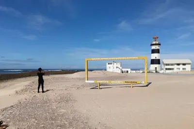Tour por la costa de Port Elizabeth: Pingüinos, faro y muelle