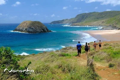 Nada en las aguas de baía do sancho, haz snorkel con tortugas y disfruta el atardecer en el fuerte boldró en esta excursión de un día en fernando de noronha. incluye traslados y guía local.