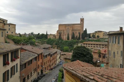 Discover siena’s city center on foot. visit palazzo pubblico, learn local stories, and enjoy a short, accessible guided tour for all ages.