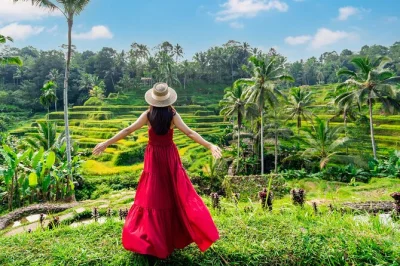Scopri ubud con un tour privato tra le risaie di tegalalang, il tempio tirta empul, la foresta delle scimmie e la cascata tegenungan. ritiro in hotel incluso.