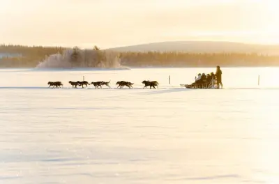 Dirija seu próprio trenó de huskies em Rovaniemi: Aventura de 5 km