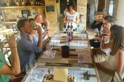 Discover montalcino’s brunello wines on a private day tour with a local sommelier, vineyard walk, cellar tasting, and free time in the medieval village.