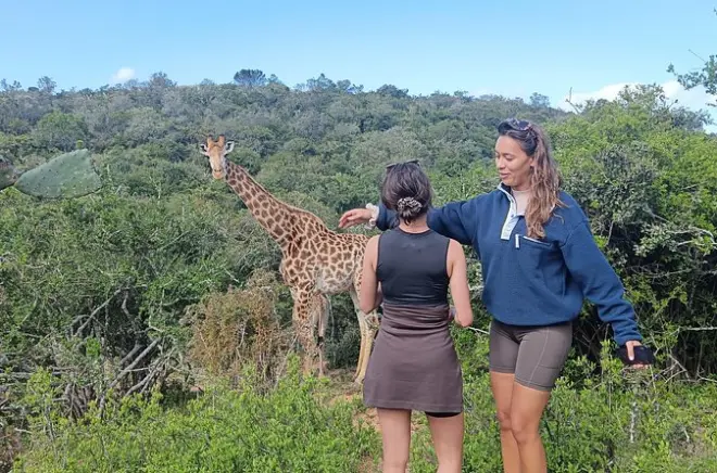 Addo Elephant Park Safari: Game Drive & Walking Tour