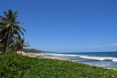 Feel the spirit of barbados with a half-day tour from bridgetown—see rihanna’s childhood street, bathsheba beach, cherry tree hill views, and hotel pickup included.