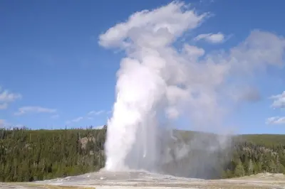 Yellowstone Lower Loop tour privato: Fauna selvatica e geyser