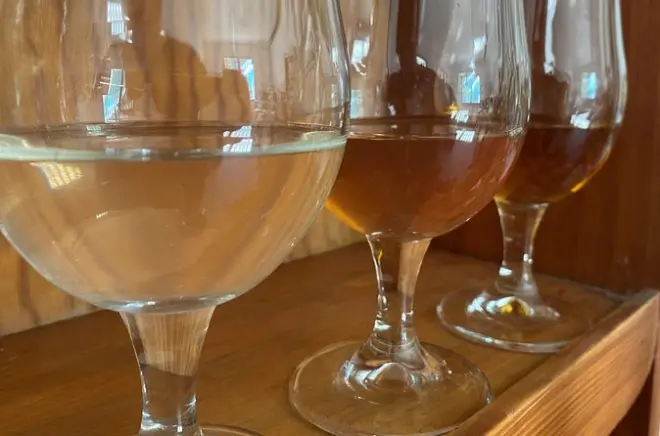 Private Mead Tasting in Lourdes: 3 Honey Varieties