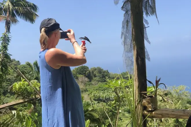 Foresta pluviale di Tobago con pranzo nella riserva UNESCO