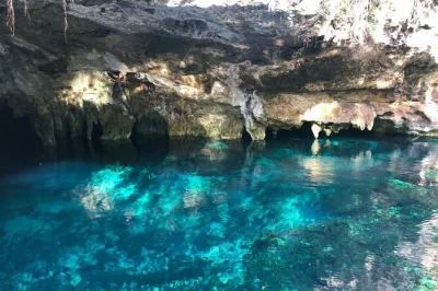 Erlebe in tulum den kick beim klippenspringen, schnorcheln im grand cenote und schwimmen im dschungel am casa cenote. inklusive ausrüstung, snacks und hin- und rückfahrt.