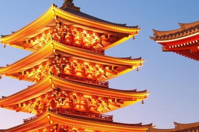 Découvrez tokyo avec un guide local : balade au marché aux poissons de tsukiji, dégustation de matcha aux jardins hama rikyu, visite du temple senso-ji. prise en charge et déjeuner inclus.