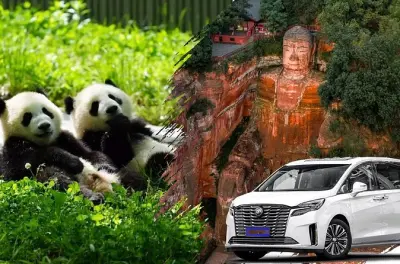 Pandas de Chengdu et Bouddha de Leshan en visite privée journée
