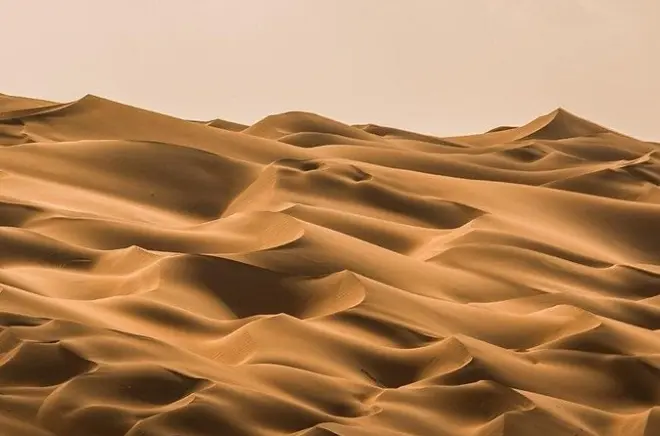 Liwa Desert Safari Abu Dhabi: Full Day with Moreeb Dune