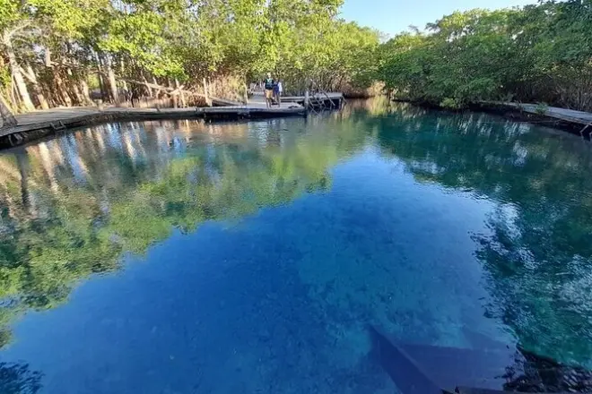 Private Bootstour Isla Holbox: 3 Inseln, Flamingos & Cenote
