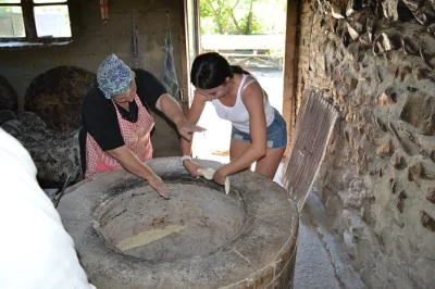 Follow the scent of fresh bread to kakheti’s vineyards, walk sighnaghi’s old walls, taste local wines & chacha, and share stories with your georgian guide. includes pickup.