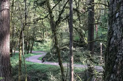 Tour in bici gravel a Forest Park: 45 km nella foresta urbana
