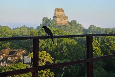 Tikal tour from Flores with lunch and certified guide
