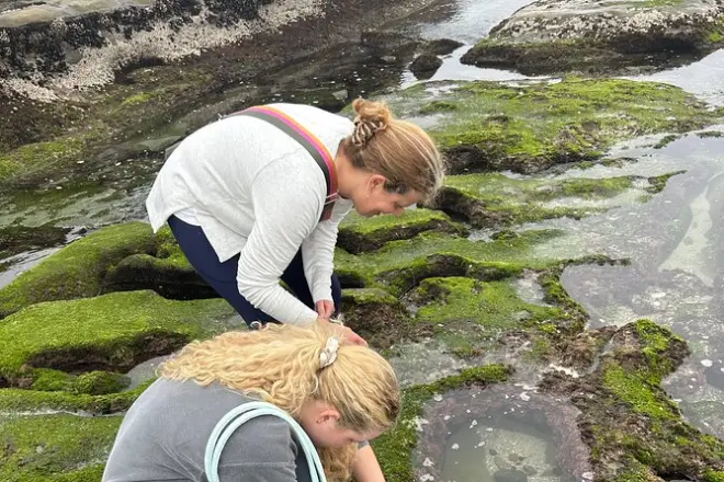 La Jolla Tide Pool Tour: Hold sea creatures with a guide
