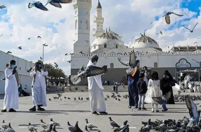VIP Medina Historical Tour: Mount Uhud, Quba Mosque & More