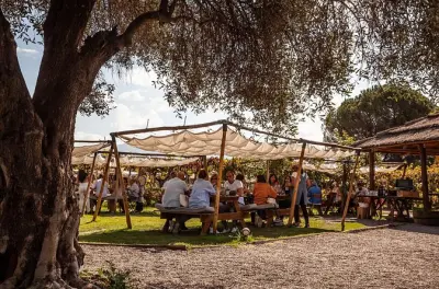 Almoço na Kaiken Winery em Mendoza com Francis Mallmann privado