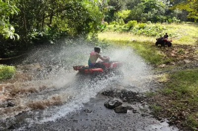Découvrez la fortuna en quad privé, puis détendez-vous dans des sources chaudes naturelles au cœur de la forêt tropicale. guide bilingue et entrée incluses pour une aventure unique.