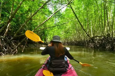 Kayak à Ao Thalane : Mangroves et falaises de calcaire à Krabi