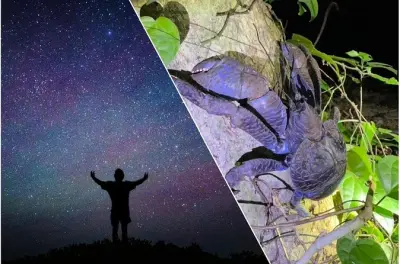 Miyako Island night jungle tour: Giant coconut crabs under stars