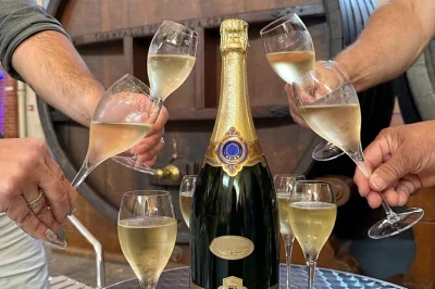 Step into reims & epernay for a champagne day trip, tasting at two family wineries, dom perignon’s tomb, and lunch with local flavors—includes pickup.