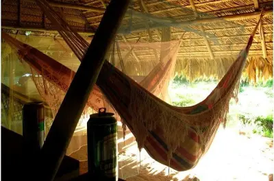 Laotisch kochen lernen & im Urwald bei Luang Prabang übernachten