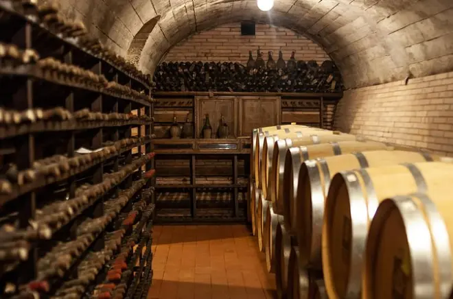 Degustazione vini Chianti Classico a Viticcio: Visita e 3 vini