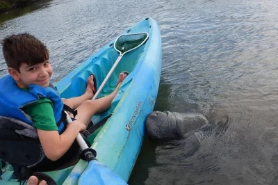 Kayak the titusville wildlife refuge with dolphins & manatees, led by local guides. includes all gear, small group setting, and multiple launch times for easy booking.